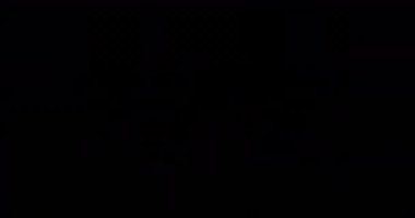 Parti metninin canlandırılması ve siyah arka planda yanıp sönen ışıklar. Yeni yıl, yeni yıl arifesi, kutlama ve geleneksel konsept dijital olarak oluşturulmuş video.