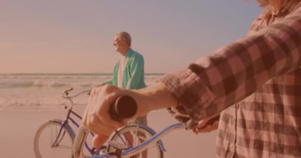 Boldog Fehér Idős Pár Biciklizik Együtt Parton Utazás Nyaralás Nyugdíjas — Stock videók