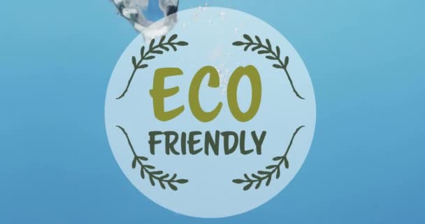 Animazione Testo Eco Friendly Frutta Che Cade Fondo Acqua Mangiare — Video Stock