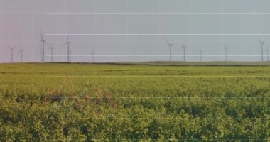 Rüzgar türbinleri üzerinde finansal veri işleme animasyonu. Küresel çevre, finans, iş, bağlantılar, hesaplama ve veri işleme kavramı dijital olarak oluşturulmuş video.