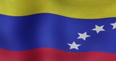 Venezuela bayrağının dalgalanmasının animasyonu. Venezuela, ulusal bayrak ve vatanseverlik kavramı dijital olarak oluşturulmuş video.