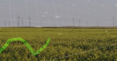 Rüzgar türbinleri üzerinde finansal veri işleme animasyonu. Küresel çevre, finans, iş, bağlantılar, hesaplama ve veri işleme kavramı dijital olarak oluşturulmuş video.