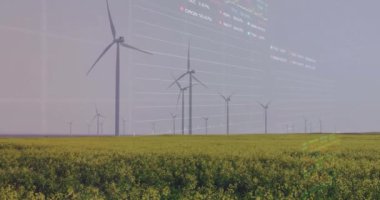 Rüzgar türbinleri üzerinde finansal veri işleme animasyonu. Küresel çevre, finans, iş, bağlantılar, hesaplama ve veri işleme kavramı dijital olarak oluşturulmuş video.
