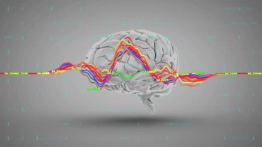 Gri arka planda insan beyninin üzerinde değişen sayılar olan çok renkli grafiklerin animasyonu. Dijital olarak üretilmiş, hologram, anatomi, rapor, iş, büyüme, yapay zeka ve teknoloji.