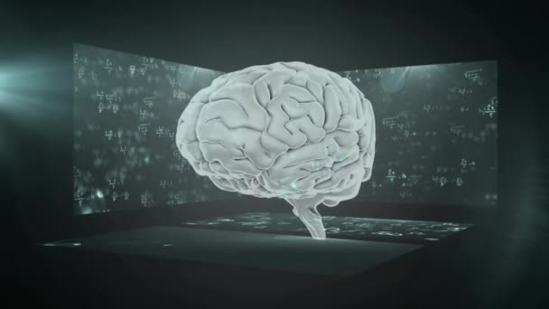 Animacja Ludzkiego Mózgu Równaniami Matematycznymi Abstrakcyjnym Tle Cyfrowo Generowane Hologram — Wideo stockowe