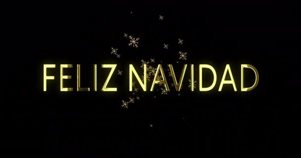 Анімація Тексту Намібії Над Сніжинками Чорному Тлі Різдво Різдво Традиція — стокове відео