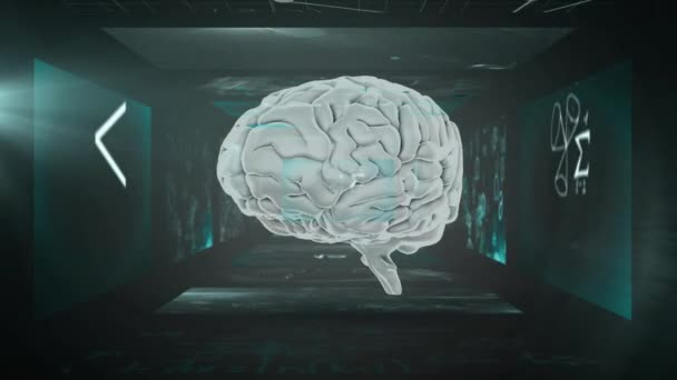 Animatie Van Wiskundige Vergelijking Diagrammen Met Menselijk Brein Abstracte Achtergrond — Stockvideo