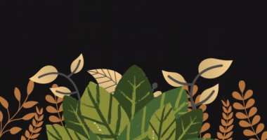 Siyah arka planda hareket eden yeşil ve sarı yaprakların ve bitkilerin animasyonu. Doğa, hareket ve renk konsepti dijital olarak oluşturulmuş video.