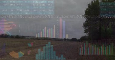 Kırsal kesimde finansal veri işleme animasyonu. Küresel çevre, finans, iş, bağlantılar, hesaplama ve veri işleme kavramı dijital olarak oluşturulmuş video.