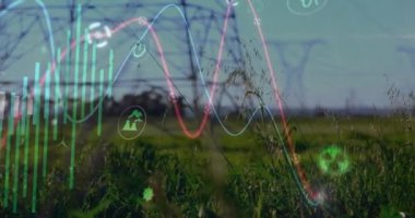Kırsal kesimdeki elektrik direkleri üzerinde finansal veri işleme animasyonu. Küresel elektrik, finans, iş, bağlantılar, hesaplama ve veri işleme kavramı dijital olarak oluşturulmuş video.