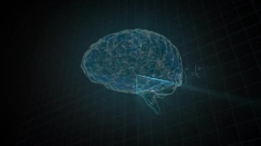 İnsan beyni üzerinde matematiksel veri işleme animasyonu. Küresel bilim, bağlantılar, hesaplama ve veri işleme kavramı dijital olarak oluşturulmuş video.