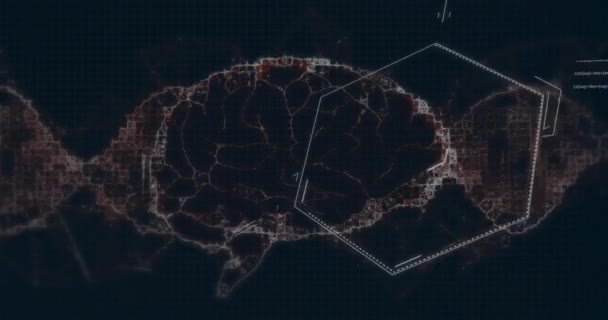 人間の脳を介したデータ処理のアニメーション グローバルサイエンス コネクション コンピューティング データ処理コンセプトデジタル生成ビデオ — ストック動画