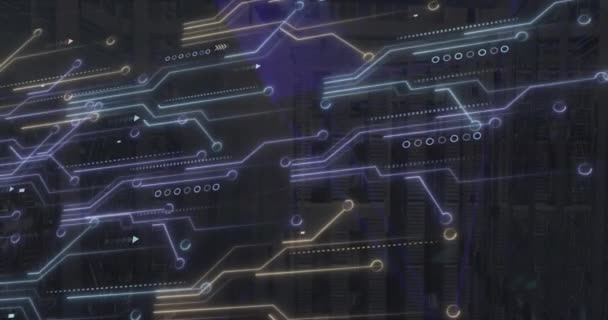 마이크로 프로세서 플렉서스 네트워크를 트레일 애니메이션 컴퓨터 인터페이스 비즈니스 데이터 — 비디오