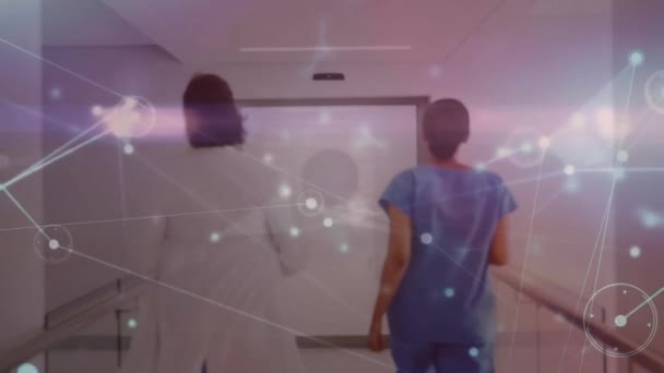 病院で働く多様な女性医師とのつながりのネットワークのアニメーション ヘルスケアのコンセプトデジタル生成ビデオ — ストック動画