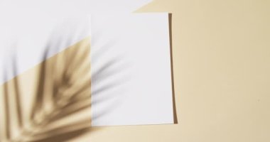 Bitkinin gölgesinin, boş beyaz sayfaları ve sarı arkaplanda kopyalama alanı olan kitapların üzerindeki videosu. Kitap, edebiyat, kağıt, yazı, doku ve materyal kavramı.