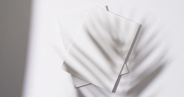 Vídeo Sombra Planta Sobre Libros Con Páginas Blancas Blanco Espacio — Vídeo de stock