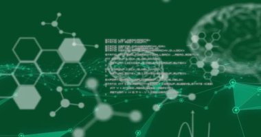 Yeşil arka plandaki bağlantılar üzerinden bilimsel veri işleme ve insan beyninin animasyonu. Küresel bilim, araştırma, bağlantılar, hesaplama ve veri işleme kavramı dijital olarak oluşturulmuş video.
