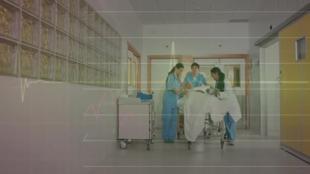 Biali Lekarze Spacerujący Pacjentem Łóżku Przy Kardiografie Medycyna Opieka Zdrowotna — Wideo stockowe