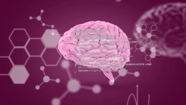 Animace Lidského Mozku Zpracování Vědeckých Dat Global Science Computing Data — Stock video