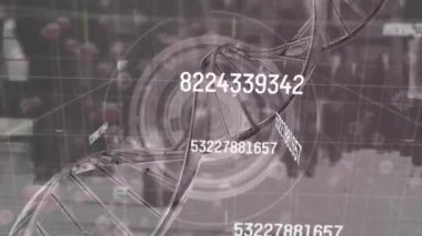 Sayıları değiştirmenin animasyonu, DNA sarmalları ve caddelerde yürüyen farklı insanlar üzerinde daireler çizmek. Dijital bileşik, çoklu pozlama, iş, büyüme, anatomi, molekül, tıbbi ve teknoloji kavramı.