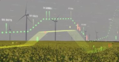 Rüzgâr türbinleriyle alanın üzerinde şema ve veri işleme animasyonları. Küresel iş, doğa ve dijital arayüz kavramı, dijital olarak oluşturulmuş video.