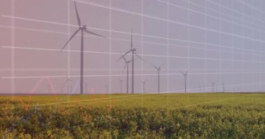 Rüzgâr türbinleriyle alanın üzerinde şema ve veri işleme animasyonları. Küresel iş, doğa ve dijital arayüz kavramı, dijital olarak oluşturulmuş video.