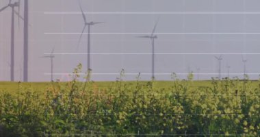 Rüzgâr türbinleriyle alanın üzerinde şema ve veri işleme animasyonları. Küresel iş, doğa ve dijital arayüz kavramı, dijital olarak oluşturulmuş video.