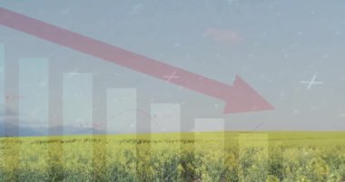 Kırsal alanda ok ve finansal veri işleme animasyonu. Küresel çevre, iş ve veri işleme kavramı dijital olarak oluşturulmuş video.