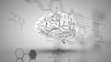 Veri işleme üzerinde dönen beyin animasyonu ve beyaz arkaplanda şekiller. Küresel bilim ve dijital arayüz kavramı, dijital olarak üretilen video.