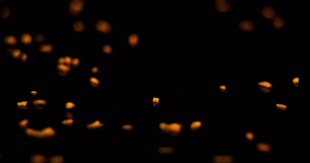 Анимация Текста Счастливых Праздников Звездами Движущимися Черном Фоне Цифровая Генерация — стоковое видео