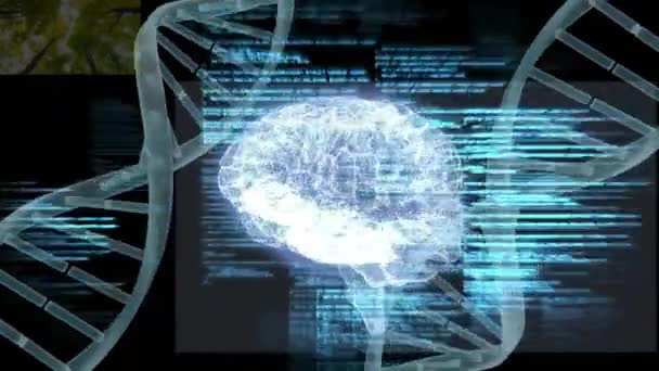 人間の脳 Dna ストランド データ処理のアニメーション グローバルサイエンス リサーチ コネクション コンピューティング データ処理のコンセプトをデジタル生成したビデオ — ストック動画