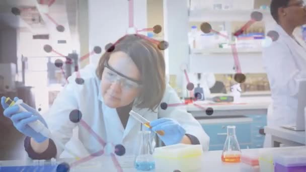 在实验室采集样品时化学分子在高加索女科学家身上的动画化 全球科学和数字接口概念 数字生成视频 — 图库视频影像