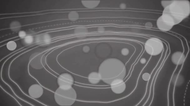 Animation Taches Lumière Lignes Sur Fond Gris Connexions Globales Concept — Video