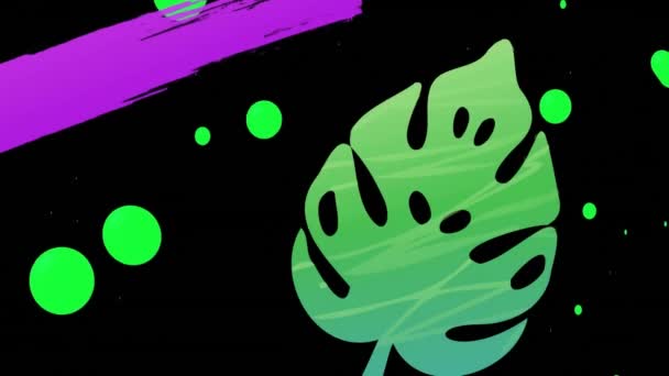 Animation Feuilles Formes Colorées Sur Fond Noir Concept Abstrait Fond — Video