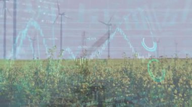 Grafiklerin animasyonu, rakamların değişmesi ve çimenli arazide dönen yel değirmenlerinin ticareti. Dijital bileşik, çoklu pozlama, rapor, iş, büyüme, borsa ve sürdürülebilir enerji.