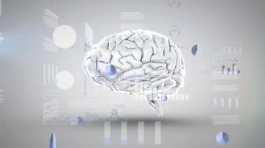 Gri arka planda insan beyni üzerinde veri işleme animasyonu. Küresel bilim, araştırma, bağlantılar, hesaplama ve veri işleme kavramı dijital olarak oluşturulmuş video.