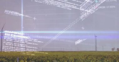 Borsa ve veri işleme alanının rüzgar türbinleriyle canlandırılması. Küresel iş, doğa ve dijital arayüz kavramı, dijital olarak oluşturulmuş video.