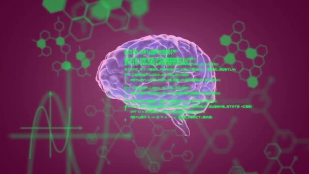 Animering Mänsklig Hjärna Och Vetenskaplig Databehandling Global Vetenskap Databehandling Databehandling — Stockvideo