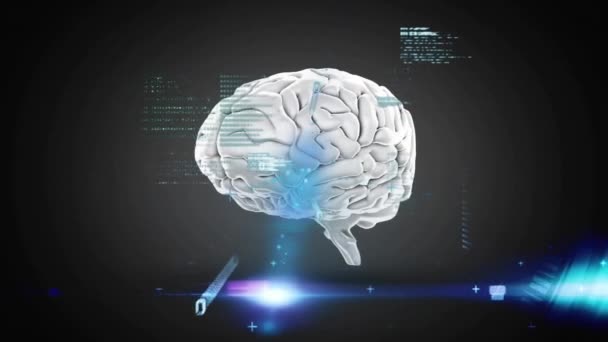 在灰色背景下对人脑进行数据处理的动画 全球科学 计算和数据处理概念 — 图库视频影像