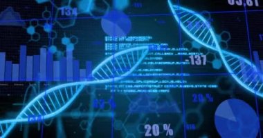 DNA iplikçiklerinin animasyonu, siyah arka planda veri işleme. Küresel iş, ağlar, bağlantılar, hesaplama ve veri işleme kavramı dijital olarak oluşturulmuş video.