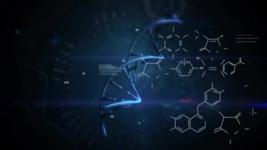 Molekül yapılarının harflerle, DNA sarmalının üzerindeki rakamlarla ve masum metinlerle canlandırılması. Dijital olarak üretilmiş, hologram, illüstrasyon, anatomi, kusursuz, tıbbi, sağlık ve teknoloji kavramı.