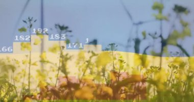 Ukrayna ve rüzgar türbinlerinin bayrağı üzerinde veri işleme ve diyagramlarının animasyonu. Küresel iş, vatanseverlik ve ekoloji kavramı, dijital olarak üretilen video.