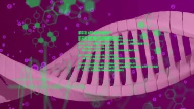 DNA dizilimi ve bilimsel veri işleme animasyonu. Küresel bilim, hesaplama, veri işleme ve bağlantılar konsepti dijital olarak oluşturulmuş video.