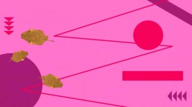 Pembe arka planda yüzen yaprak ve şekillerin animasyonu. Soyut arkaplan ve şablon kavramı, dijital olarak oluşturulmuş video.