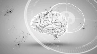 Beyaz arkaplandaki kullanıcı simgelerinin üzerinde dönen beynin animasyonu. Küresel bilim ve dijital arayüz kavramı, dijital olarak üretilen video.