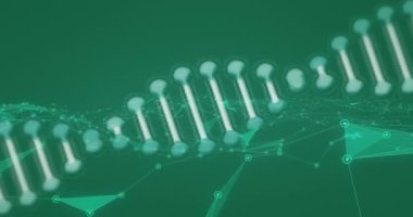 Yeşil arkaplandaki bağlantıların DNA iplikçiklerinin ve bilimsel veri işlemesinin animasyonu. Küresel bilim, araştırma, bağlantılar, hesaplama ve veri işleme kavramı dijital olarak oluşturulmuş video.