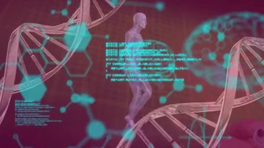 DNA iplikçikleri, insan beyni ve bilimsel veri işleme animasyonları. Küresel bilim, hesaplama, veri işleme ve bağlantılar konsepti dijital olarak oluşturulmuş video.