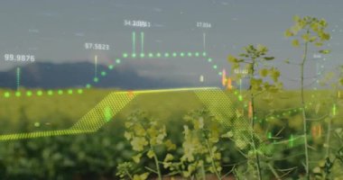 Alan üzerinde şema ve veri işleme animasyonları. Küresel iş, doğa ve dijital arayüz kavramı, dijital olarak oluşturulmuş video.