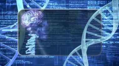 DNA iplikçikleri üzerinde bilimsel veri işleme animasyonu. Küresel bilim, bağlantılar, hesaplama ve veri işleme kavramı dijital olarak oluşturulmuş video.