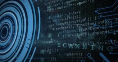 Yükleme çemberlerinin animasyonu, asma kilit üzerindeki bilgisayar dili, harfler, semboller, metinler ve sayılar. Dijital olarak üretilmiş, hologram, illüstrasyon, iş, ilerleme, koruma, kodlama ve teknoloji.